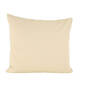Dune Feather Throw Pillow