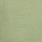 Lime Extra Cushion 45 x 35