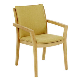 Ginger Cushion for Valencia Armchair