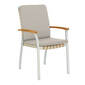 Stone Cushion for United States Armchair