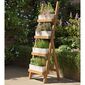 Normandy Plant Ladder White