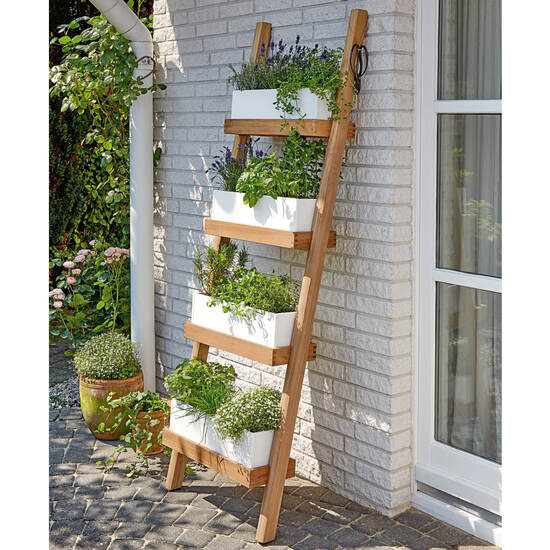 Normandy Plant Ladder White