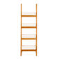 Normandy Plant Ladder White