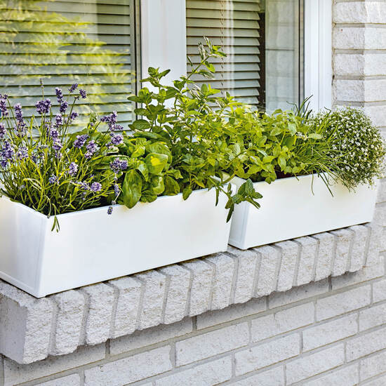 Normandy Planters White (2 pcs.)