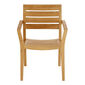Valencia Armchair Teak