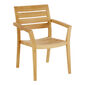 Valencia Armchair Teak