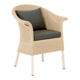 Chestnut Back Cushion