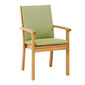 Leaf Cushion for Eaton Armchair