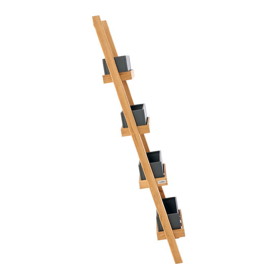 Normandy Plant Ladder Graphite