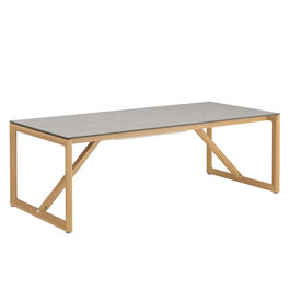 Trey Table 220 x 100