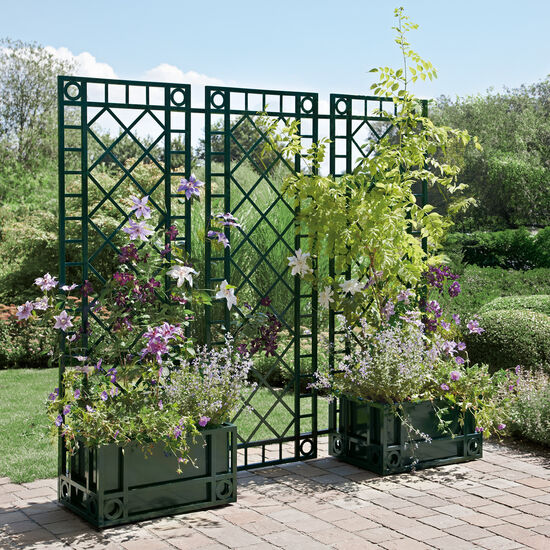 Orangery Planter, Narrow
