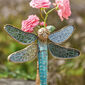 Dragonfly, limited edition