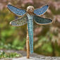 Dragonfly, limited edition