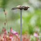 Bee Wand Bronze