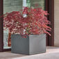 Antony Planter 65 x 65