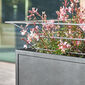 Antony Planter 65 x 65