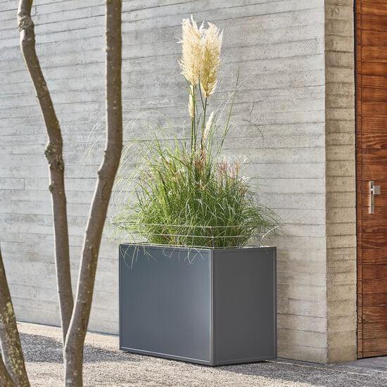 Antony Planter 100 x 50