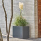 Antony Planter 100 x 50