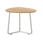 Amari Side Table with teak top