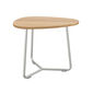 Amari Side Table with teak top