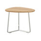 Amari Side Table with teak top