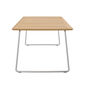 Amari Table 240 x 100 with teak top