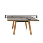 Outdoor Table Tennis