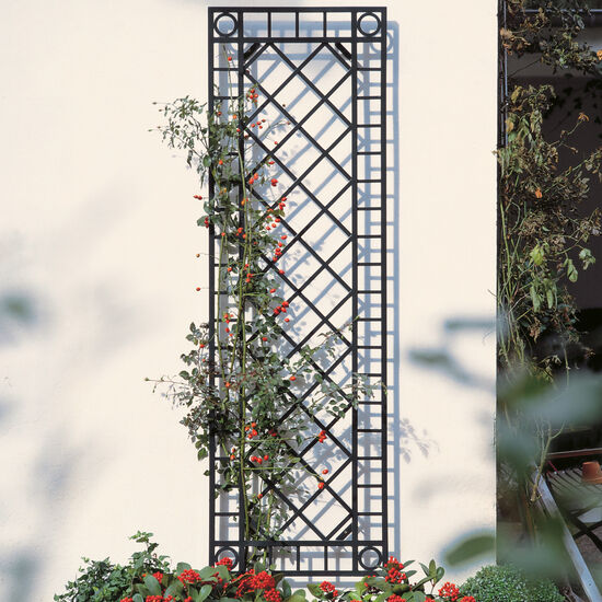 Narrow Wall Trellis
