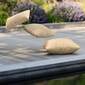 Sinfonia Cushion Set Beige
