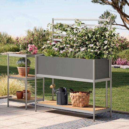 Rana Trellis