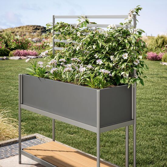 Rana Trellis