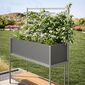 Rana Trellis