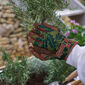 Telford Garden gloves Women S/M