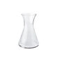 Claris Carafe Large