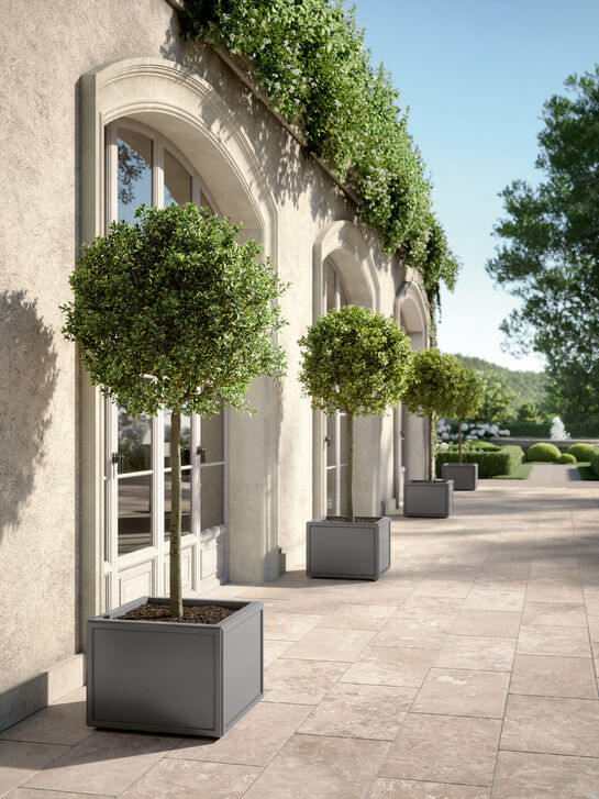 Antony Petit Planter 59 x 59 x 45