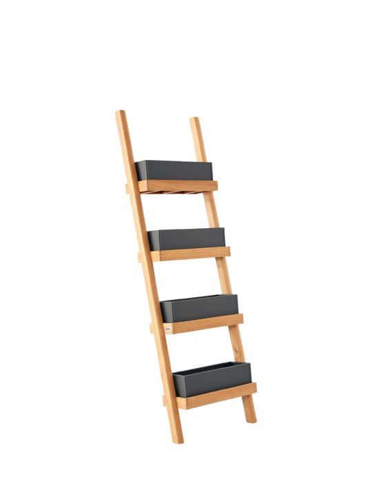 Normandy Plant Ladder Graphite