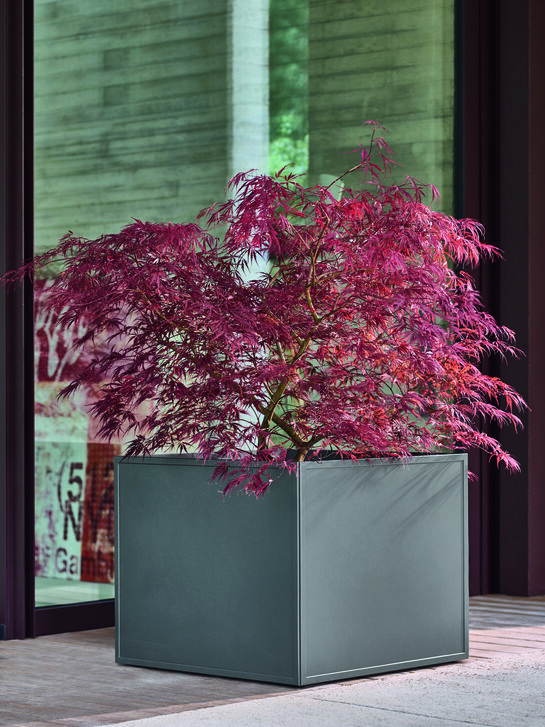 Antony Planter 65 x 65 x 52