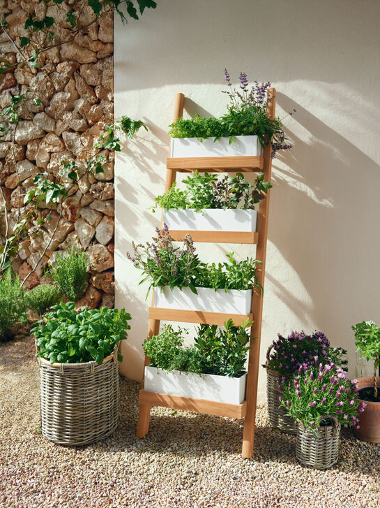 Normandy Plant Ladder White