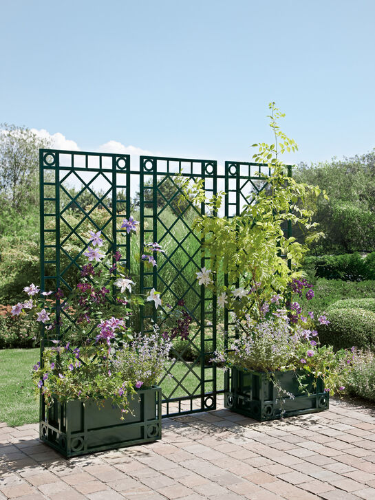 Orangery Planter Narrow